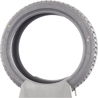 Maxxis Premitra Snow WP6 -  225/40 R18