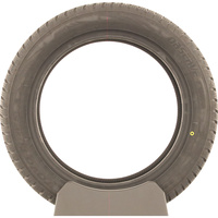 Toyo Observe EWS1