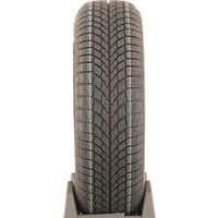 Viking WinTech NewGen