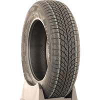 Viking WinTech NewGen