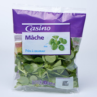 Casino Mâche