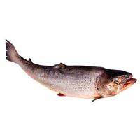 Filet, élevé Norvège Acheté chez Carrefour