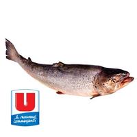 U, filets, saumon rose sauvage, Océan Pacifique