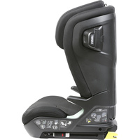 Thule Palm