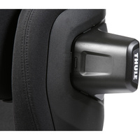 Thule Palm