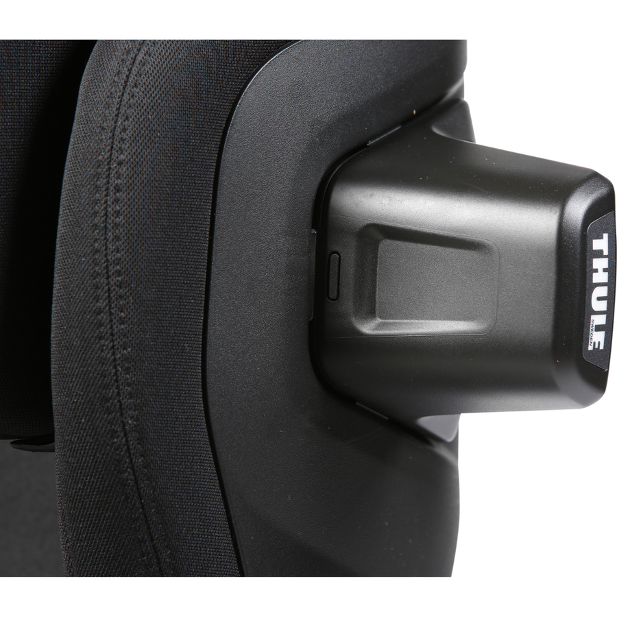 Thule Palm
