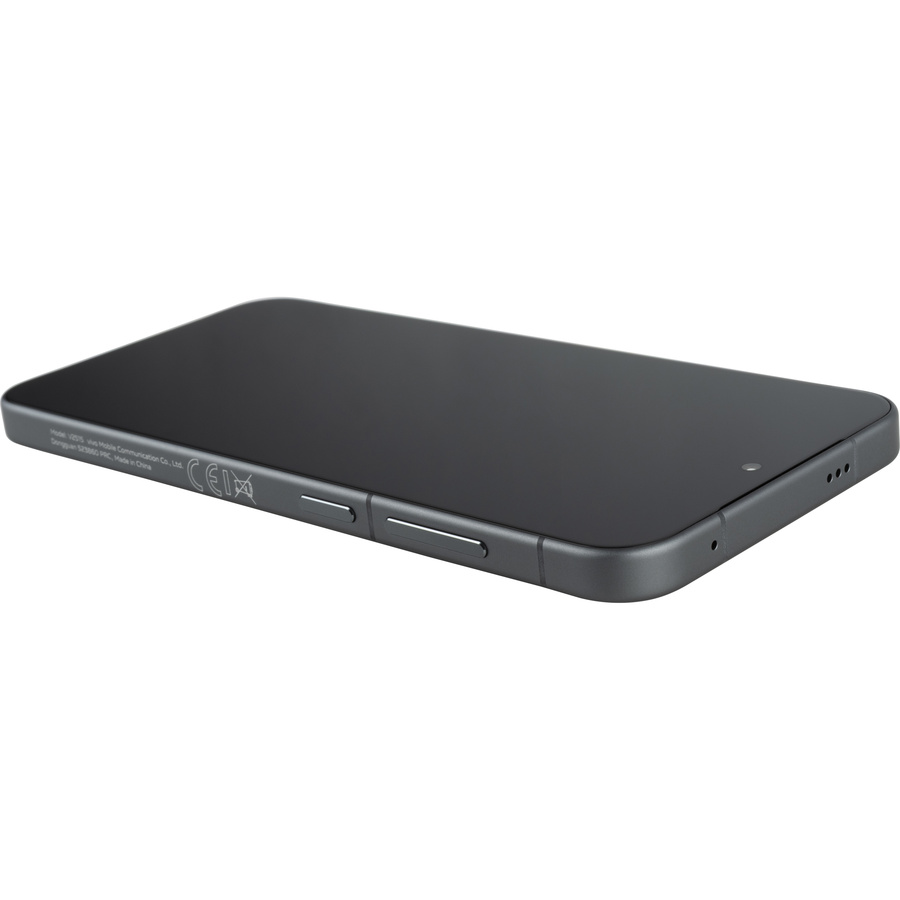 Vivo X300