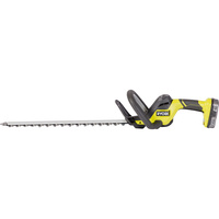 Ryobi RY18HT50A-120 - (c)David Murray   davidmurray.org