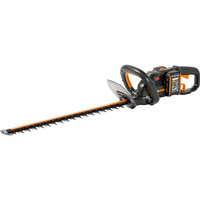 Worx WG286e