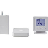 Delta Dore Tybox Home RF 210