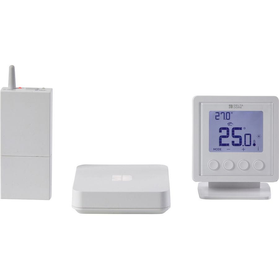 Delta Dore Tybox Home RF 210
