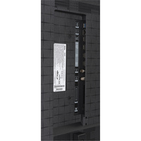 TCL 55A400 - Connectique