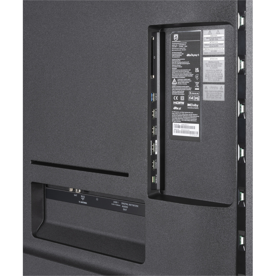 Philips 55PML9019 - Connectique