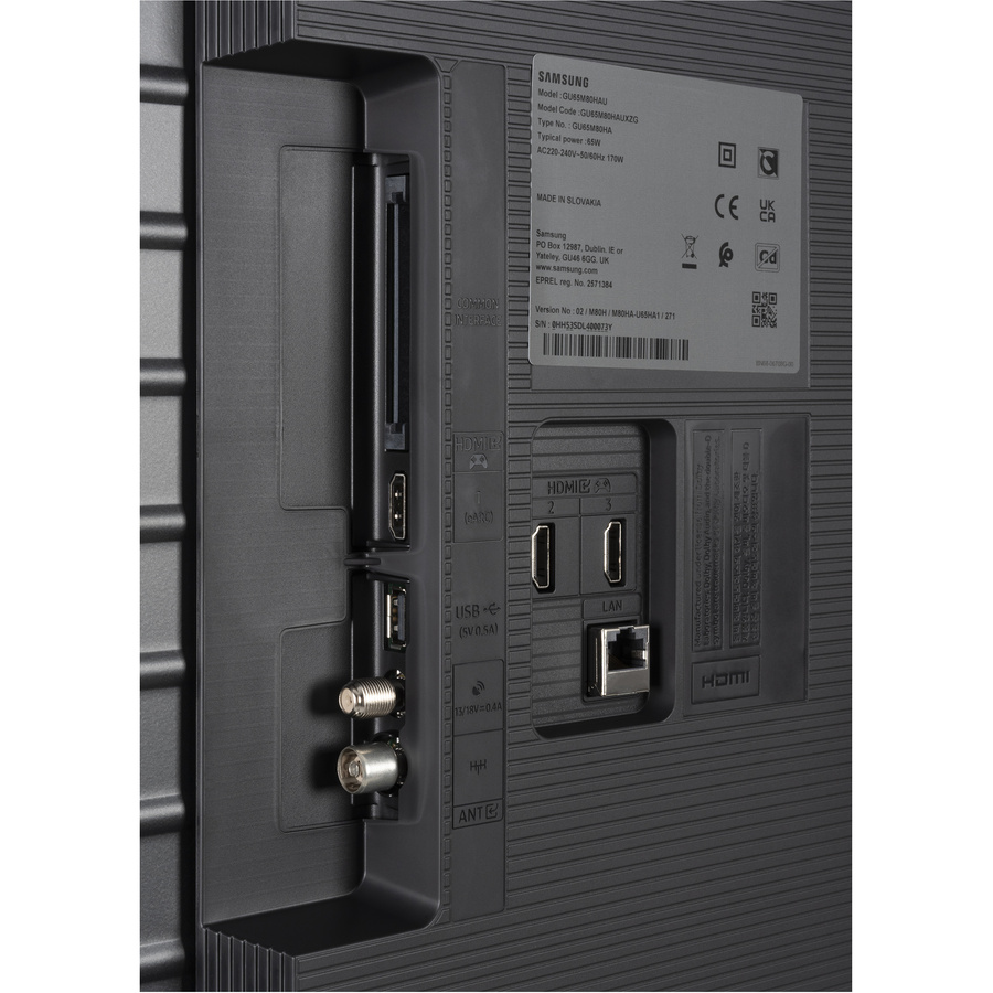 Samsung TU65M80H - Connectique