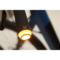 Ellipse E2ST - Feu clignotant