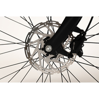 Moma Bikes Urb-E Belt 28 - Frein à disque hydraulique à l'avant