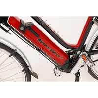 Starway Touring 28'' - Batterie