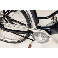 Starway Touring GT - Protection de chaîne
