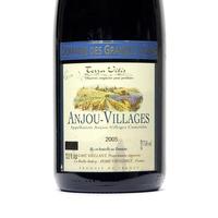 Anjou-Villages Domaine des Grandes Vignes 2005
