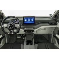 BYD Dolphin Surf 43.2 kWh 88 ch Boost