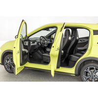 BYD Dolphin Surf 43.2 kWh 88 ch Boost