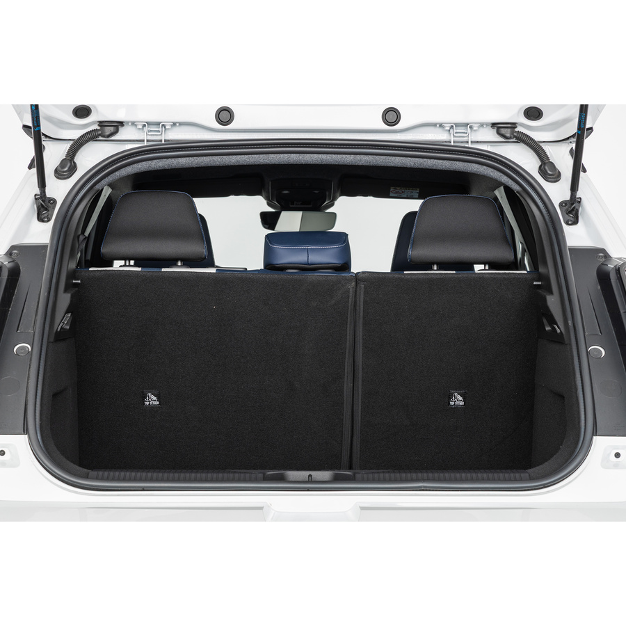 Alpine A290 220 ch GTS