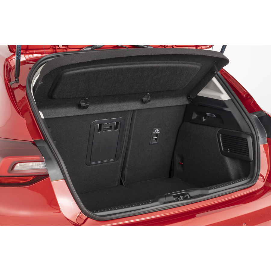 Ford Focus 1.0 Flexifuel 125 S&S mHEV Titanium X Business