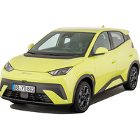 BYD Dolphin Surf 43.2 kWh 88 ch Boost