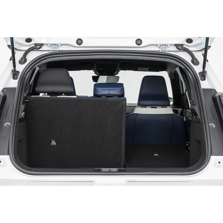 Alpine A290 220 ch GTS