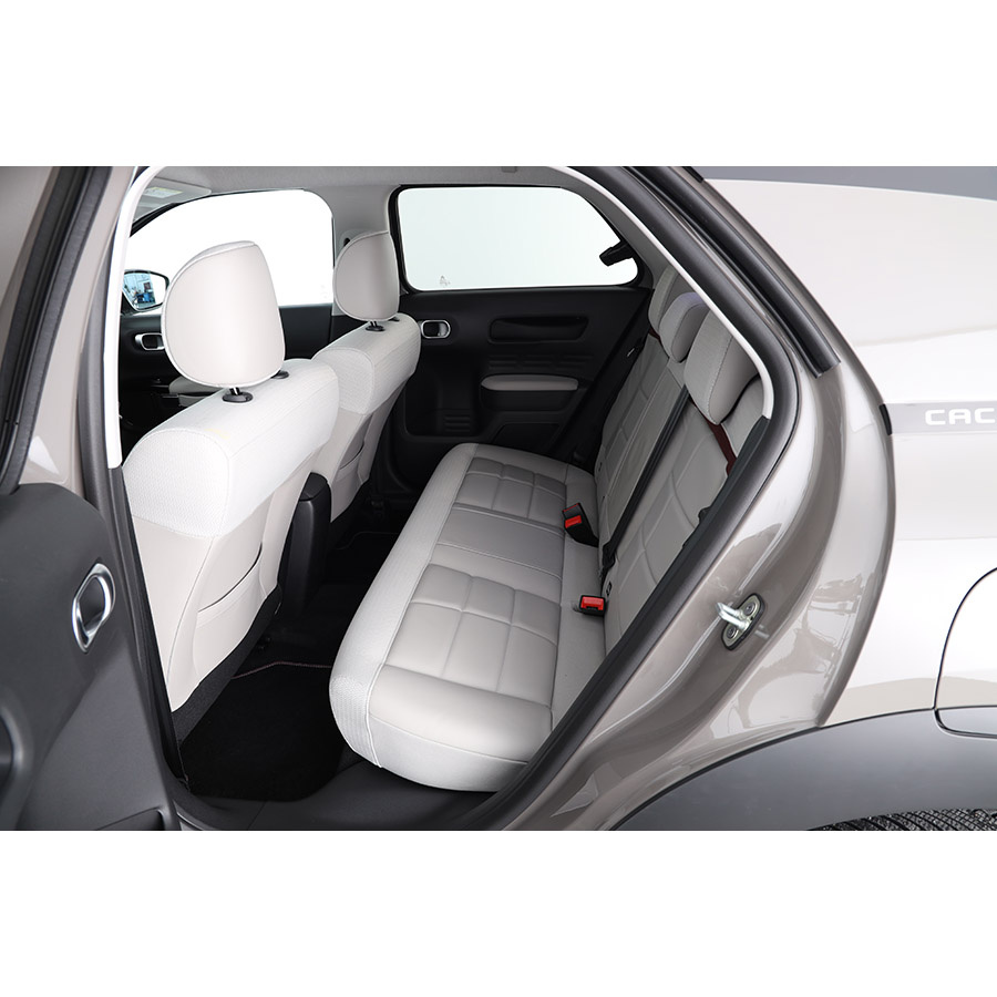 Citroën C4 Cactus BlueHDi 100 S&S BVM6