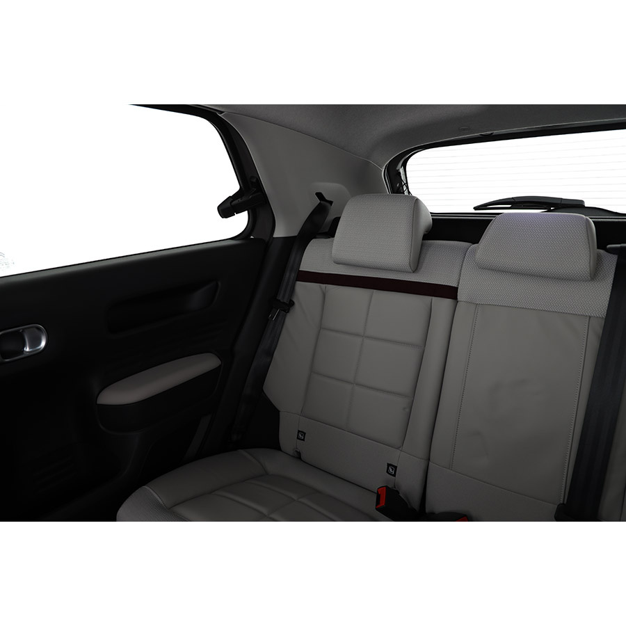 Citroën C4 Cactus BlueHDi 100 S&S BVM6