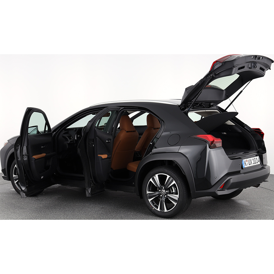 Lexus UX 250h 2WD